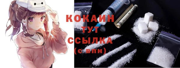 шишки Ладушкин
