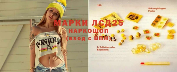 шишки Ладушкин