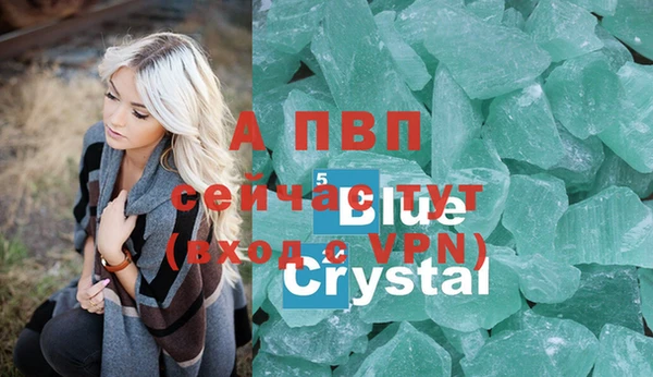 шишки Ладушкин
