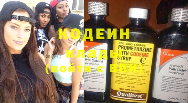 шишки Ладушкин