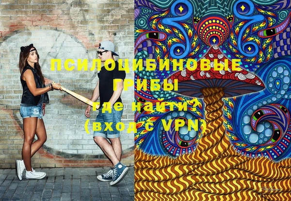 соль ск Кулебаки