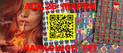 спайс Берёзовский