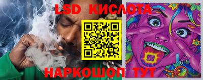 спайс Берёзовский