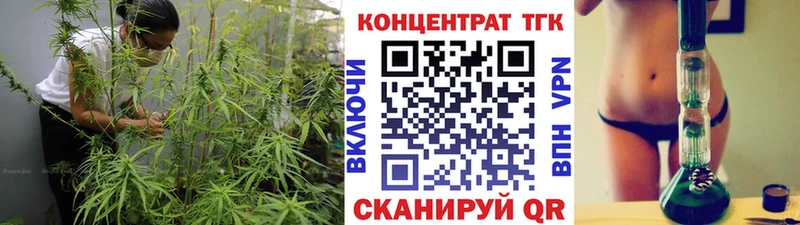 магазин    Черкесск  MEGA как войти  ТГК THC oil 