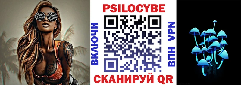 Псилоцибиновые грибы Psilocybine cubensis  Черкесск 