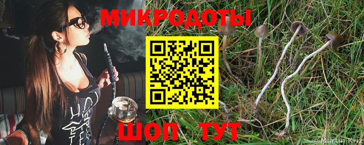 Черкесск  Галлюциногенные грибы MAGIC MUSHROOMS  что такое наркотик  Вход с VPN  Псилоцибиновые грибы прущие грибы 