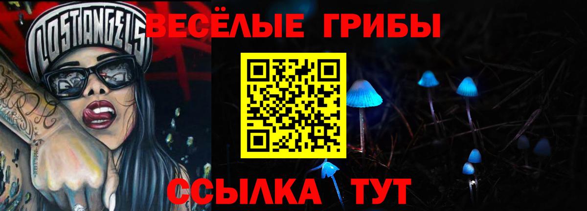 Псилоцибиновые грибы Magic Shrooms Черкесск